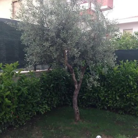 Apartment In Marina di Ginosa